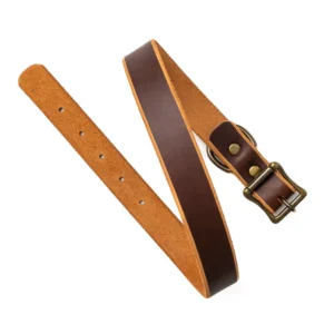 Leather Dog Leash - Natural
