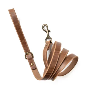 Leather Dog Leash - Natural