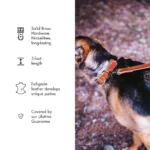 Leather Dog Leash - English Tan