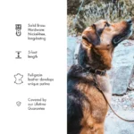 Leather Dog Leash - Black