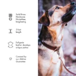 Leather Dog Leash - Haritage Brown