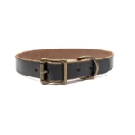 Matching Dog Collar & Leash Bundle - Black - Image 7