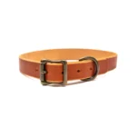 Matching Dog Collar & Leash Bundle - English Tan - Image 8