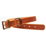 Matching Dog Collar & Leash Bundle - English Tan - Image 9