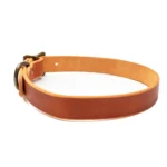 Matching Dog Collar & Leash Bundle - English Tan - Image 7