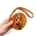Matching Dog Collar & Leash Bundle - English Tan - Image 4