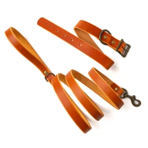 Matching Dog Collar & Leash Bundle - English Tan