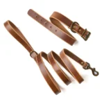 Matching Dog Collar & Leash Bundle - Natural
