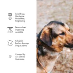 Leather Dog Collar - Haritage Brown