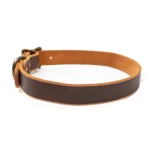 Leather Dog Collar - Haritage Brown - Image 2
